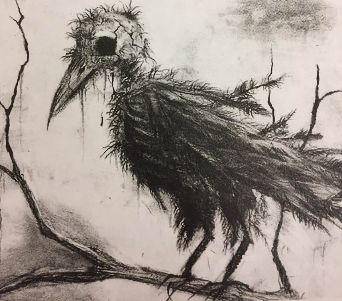 Китоглав птица