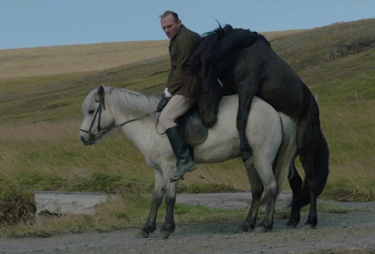 Дикие Мустанги Дикие лошади