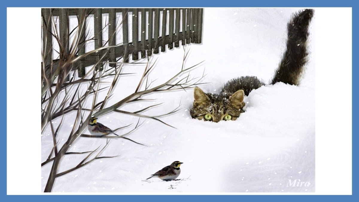 Стриж птенец желторотик