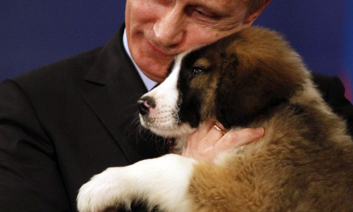 Английская овчарка