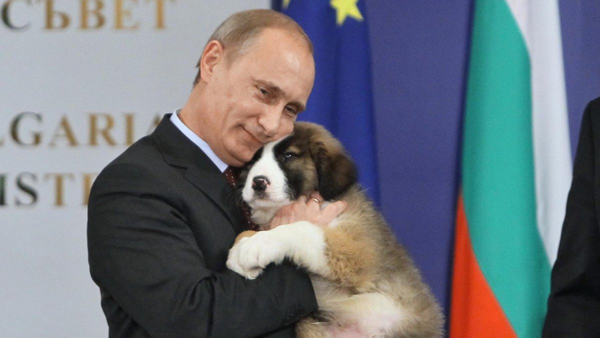 Каракачанская овчарка Путина