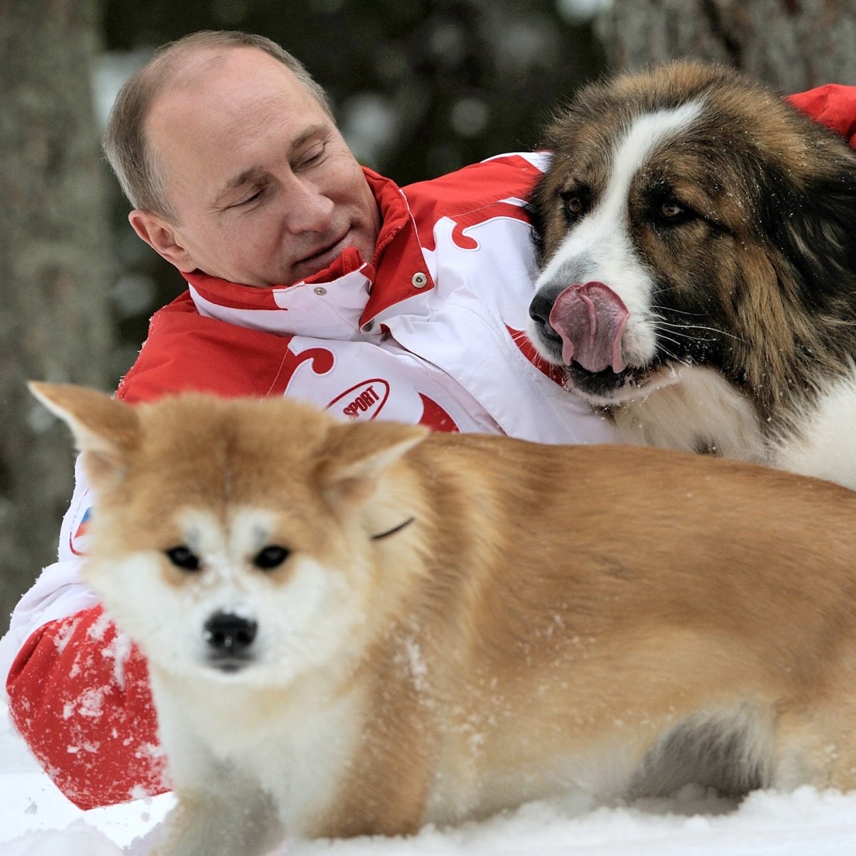 Каракачанская овчарка Баффи