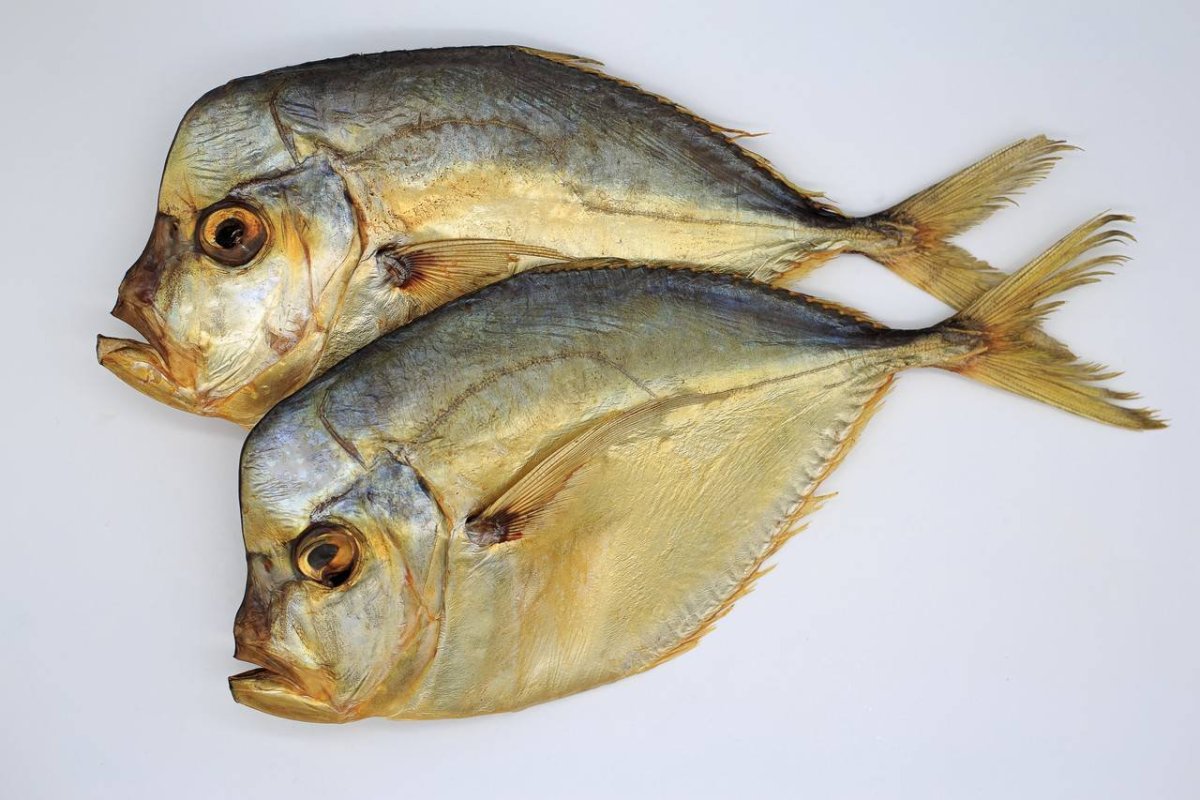 Вомер холодного копчения