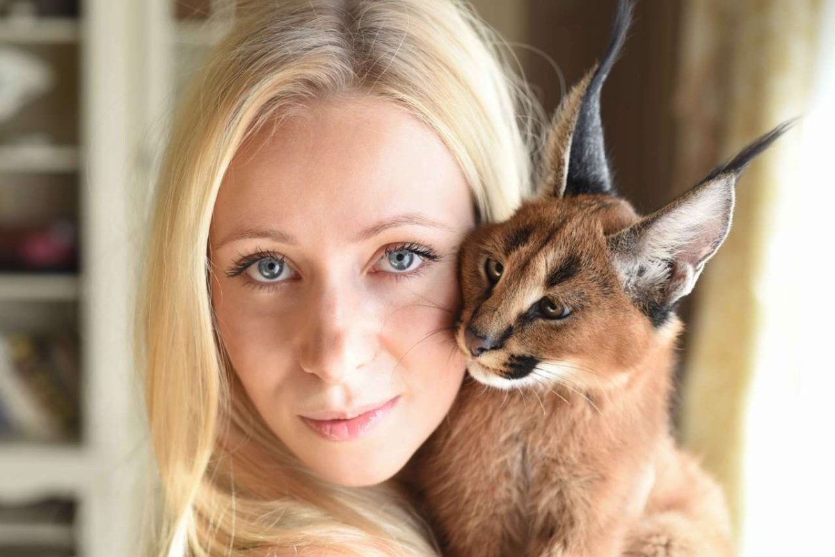 Девушка с рысью