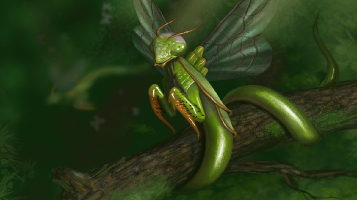 Зеленые насекомые осенью