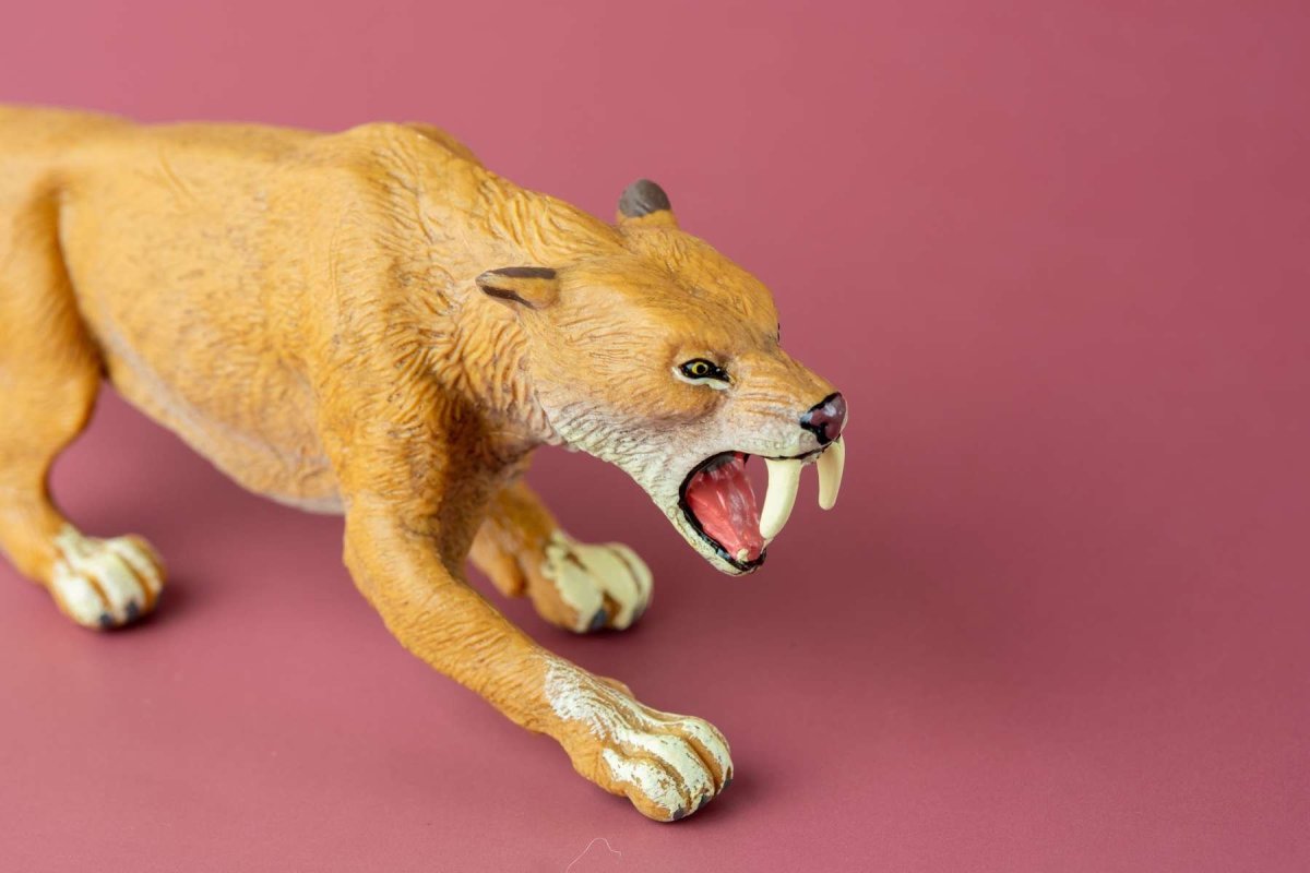 Саблезубая белка Cronopio dentiacutus