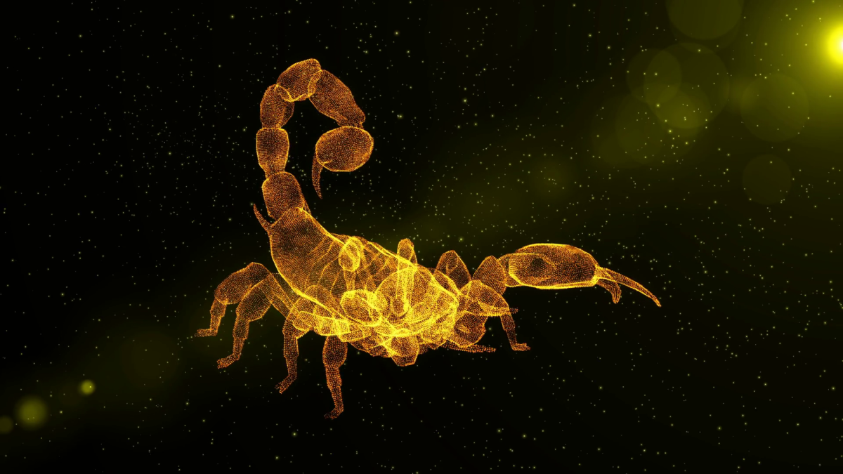 Скорпион абстракция