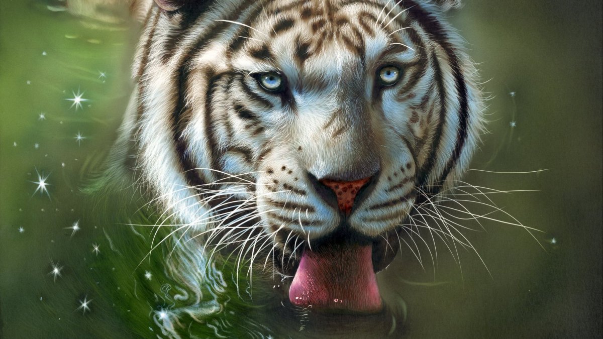 Коллин Богл художник белый тигр