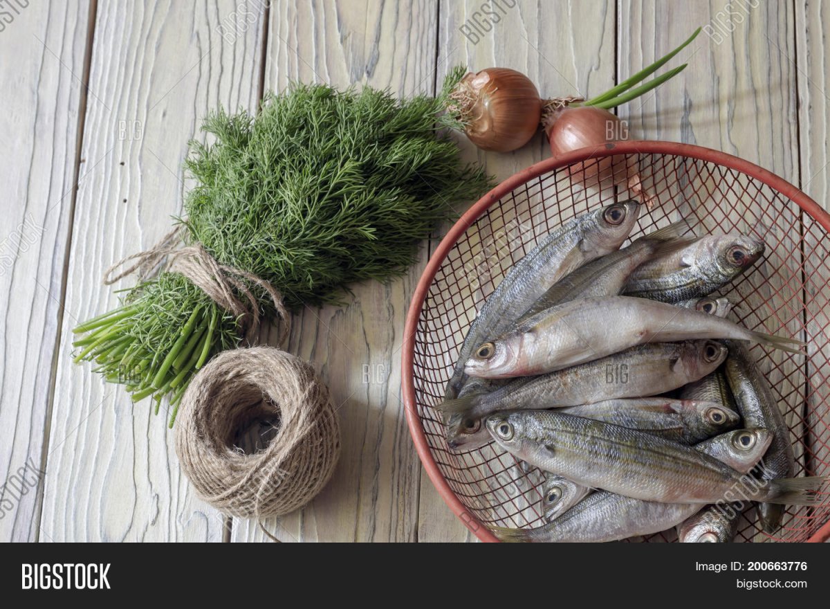 БОПС Атлант рыба