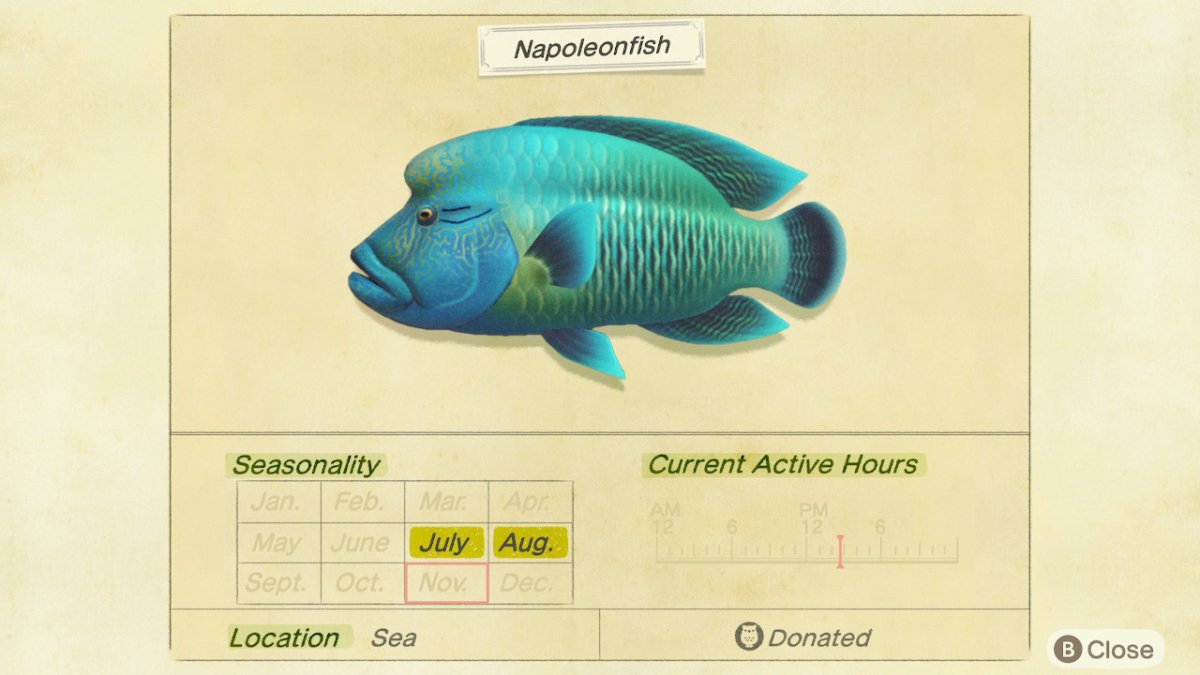 Черный живоглот