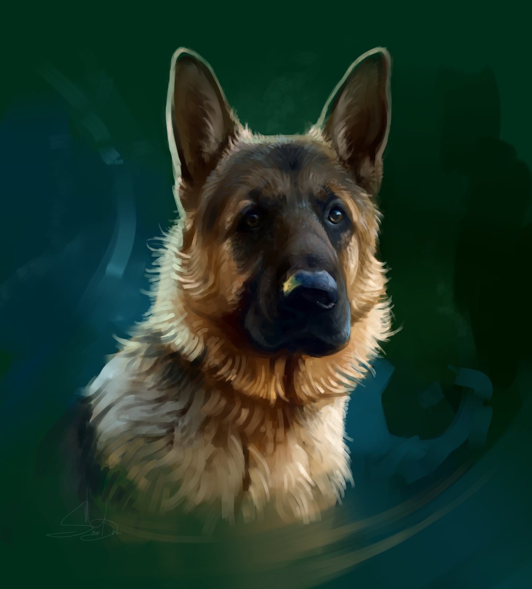 Украинская овчарка