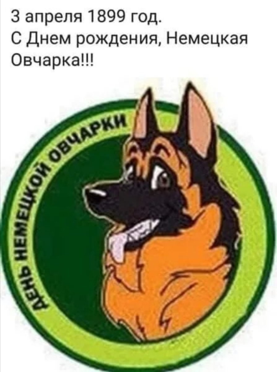 Окрас немецкой овчарки названия