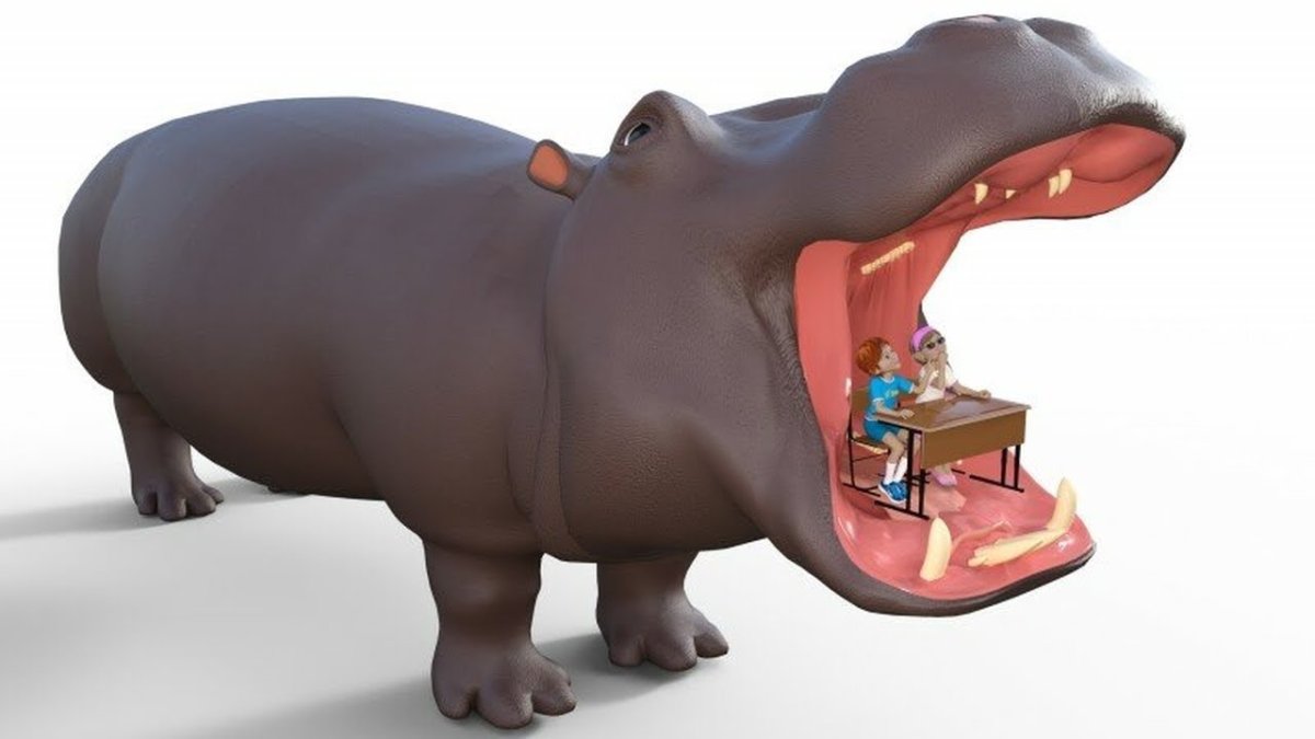 Бегемотик с гантелями