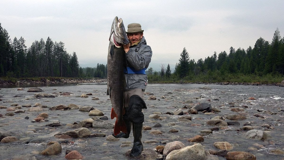 Рыба Таймень Забайкальский край