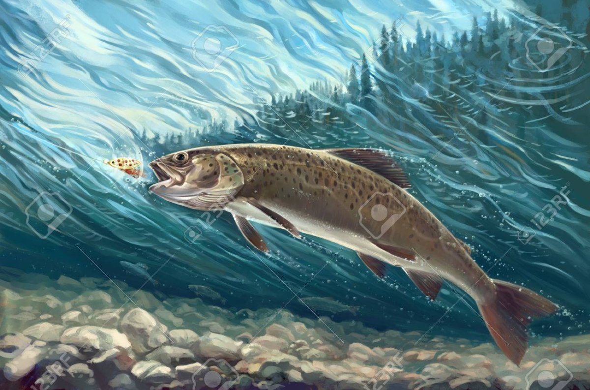 Жовба Павел художник