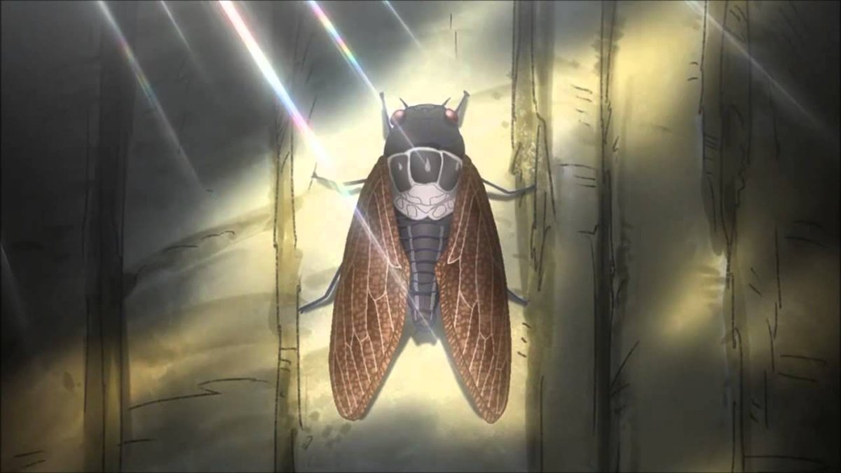 Цикады аниме