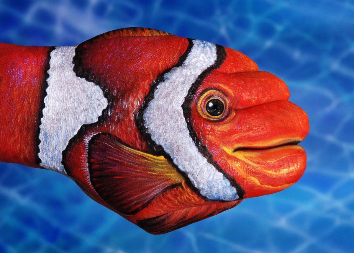 Выставка экзотических морских обитателей