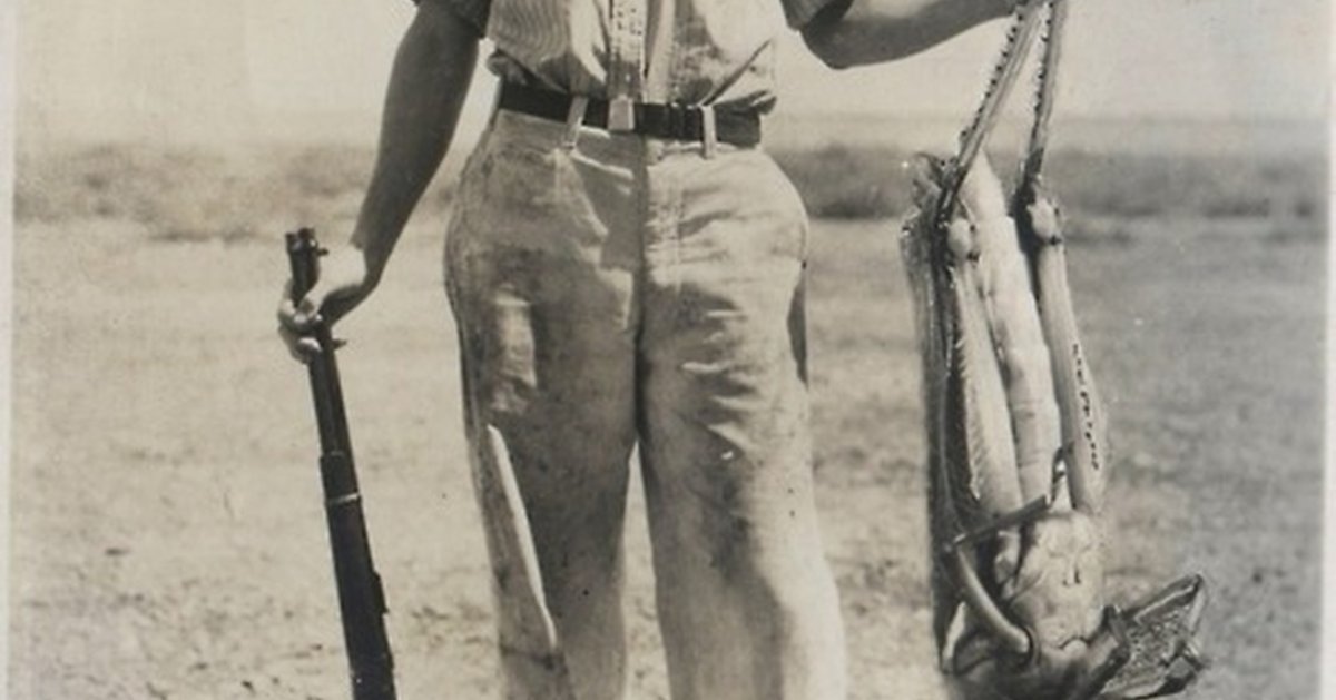 Самый большой кузнечик в мире 1937