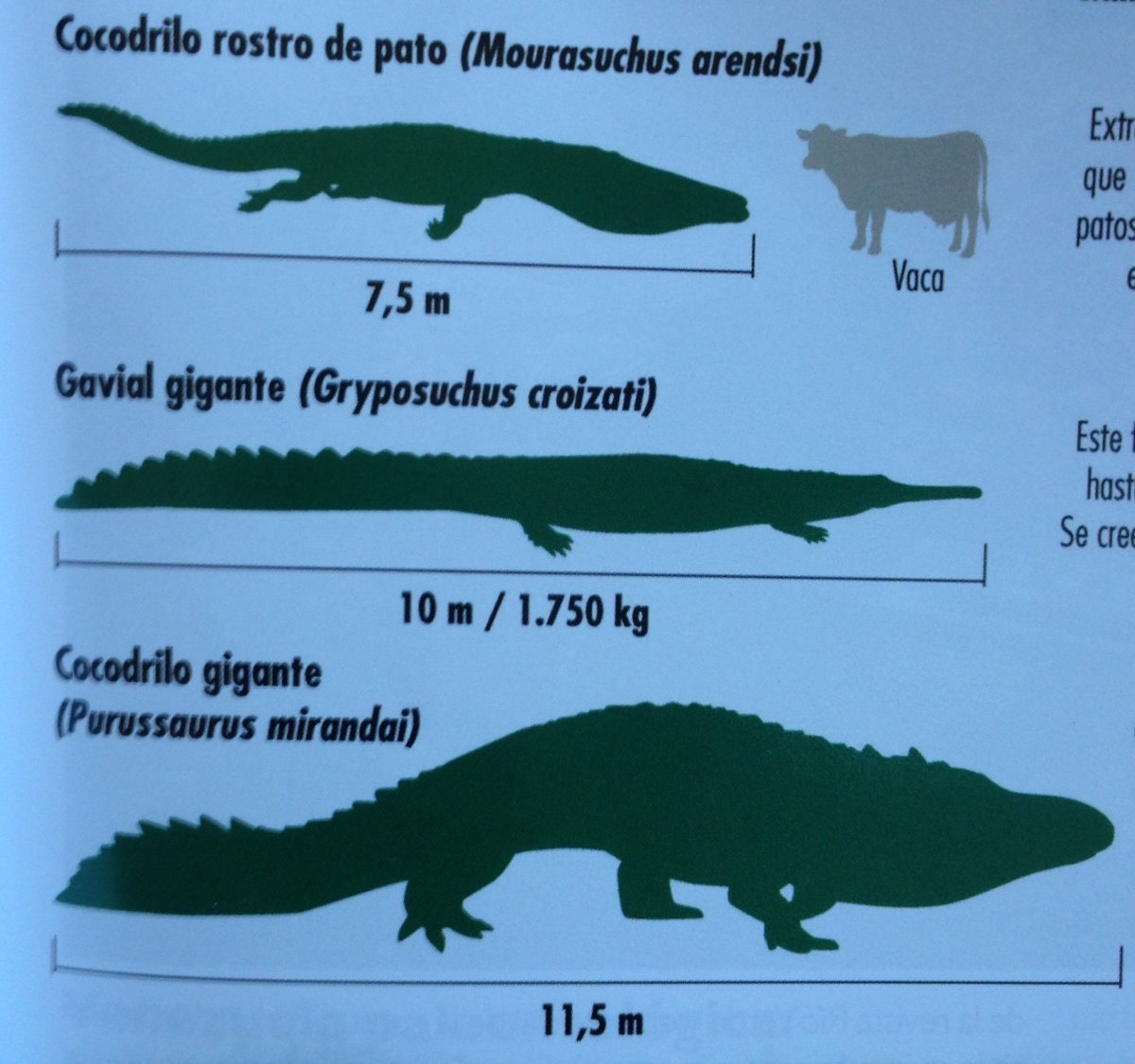Гигантский доисторический крокодил