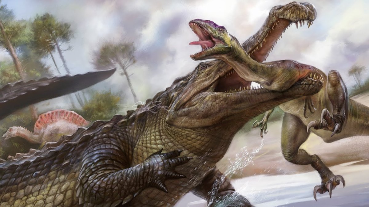 Sunda Gharial Tomistoma schlegelii