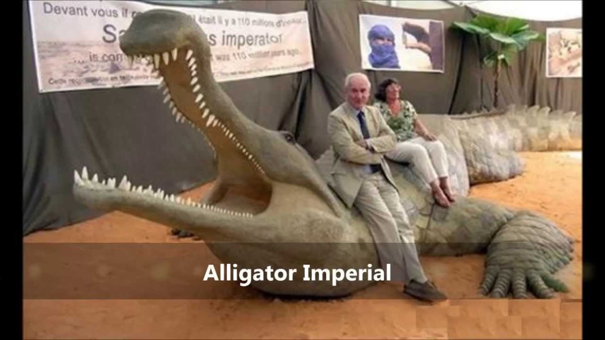 Гигантский гребнистый крокодил