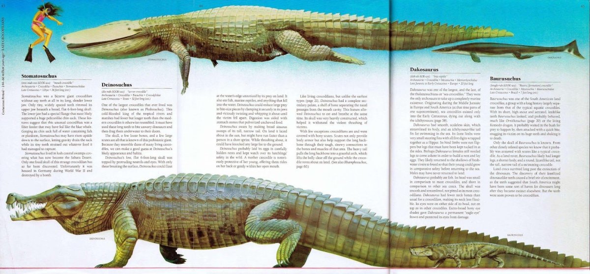Монстры арт 3д крокодил
