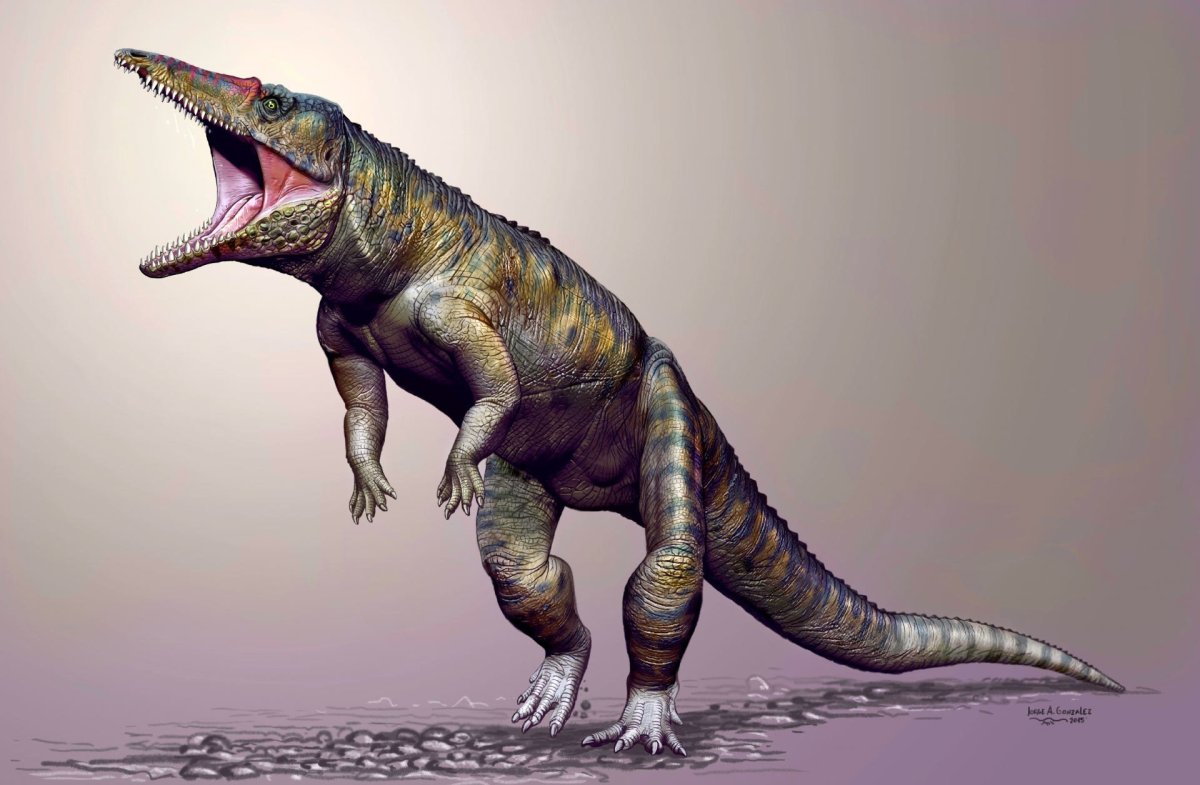 Purussaurus Brasiliensis