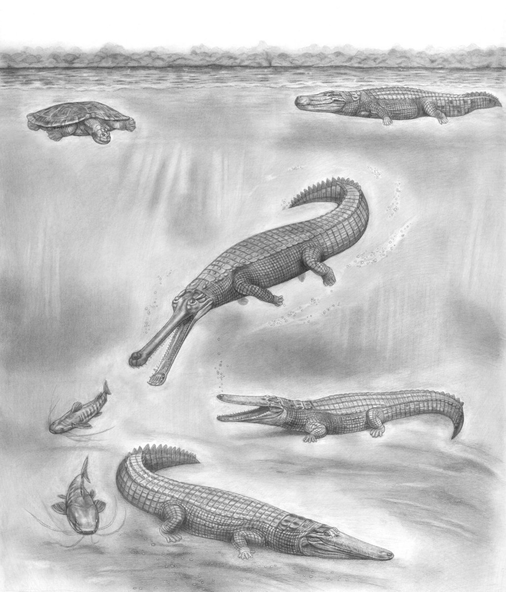 Голова аллигатора