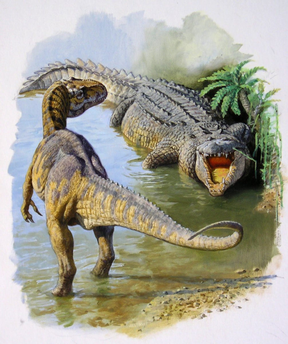 Грипозух крокодил