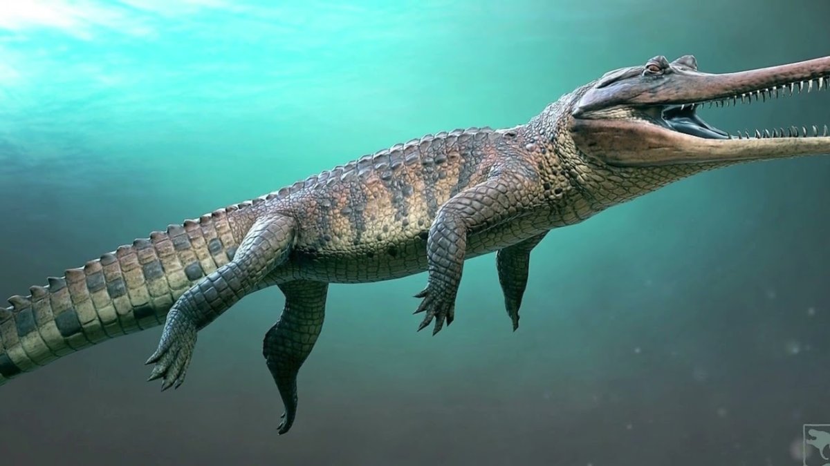 Саблезубый крокодил