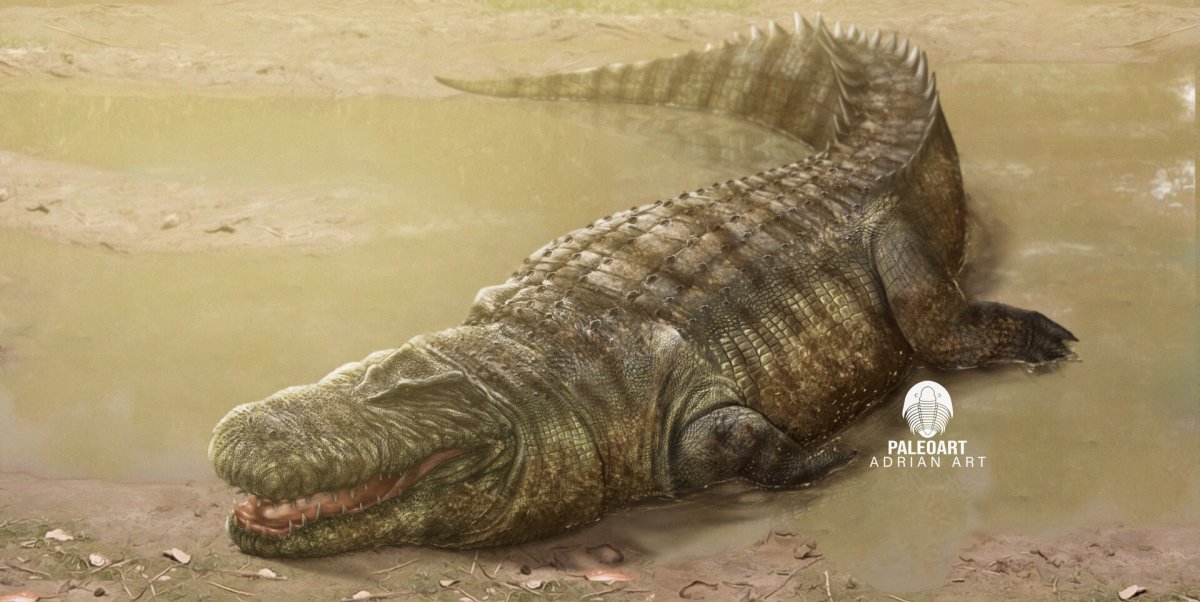 Спинозавр и дейнозух