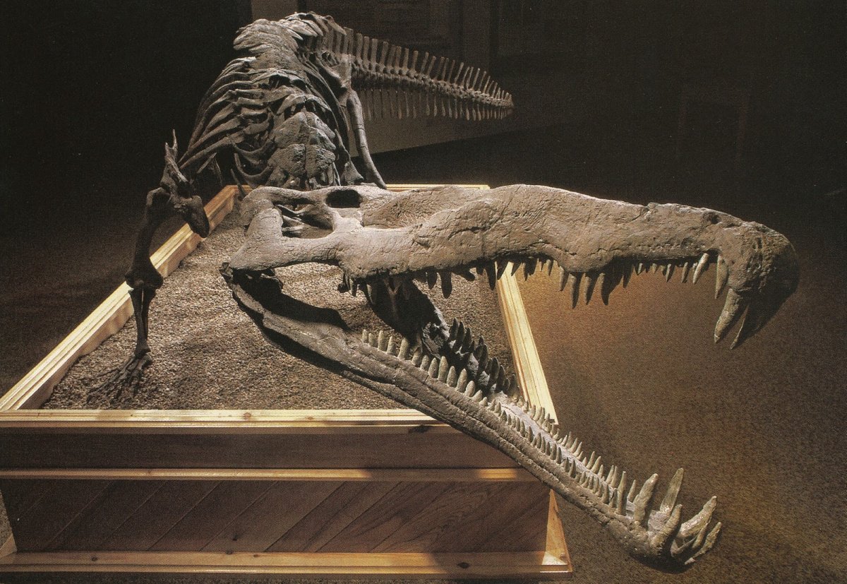 Древний крокодил Саркозух