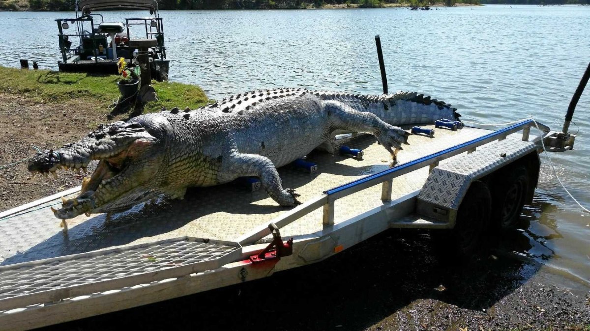 Дейнозуха динозавра