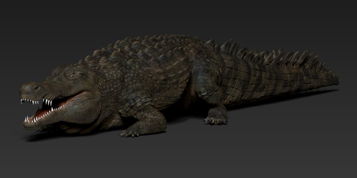 Добрый крокодил и кошка