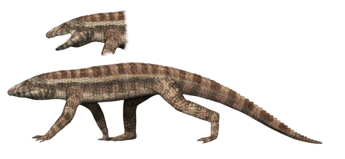Доисторический крокодил Саркозух