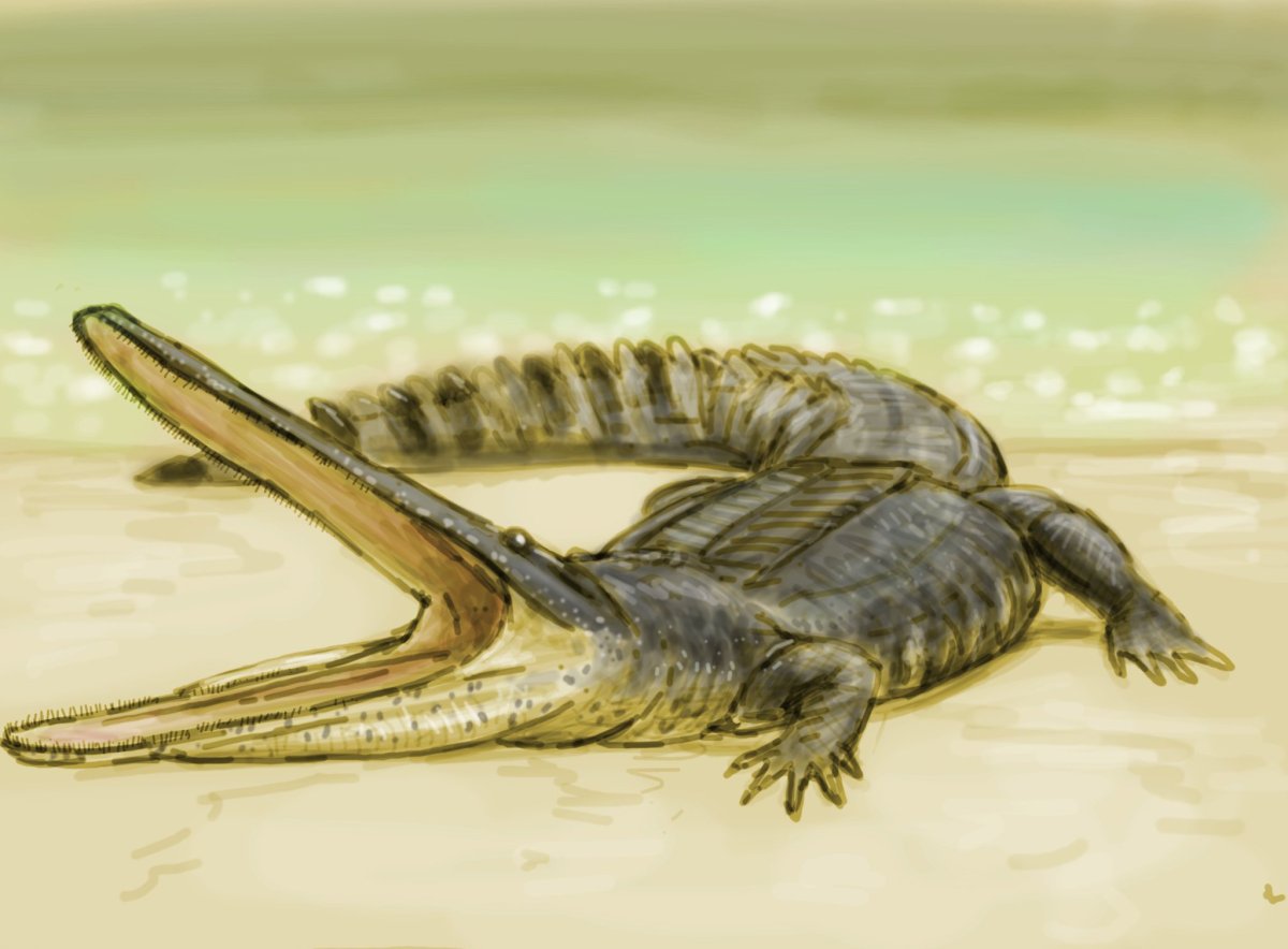 Крокодил Саркозух