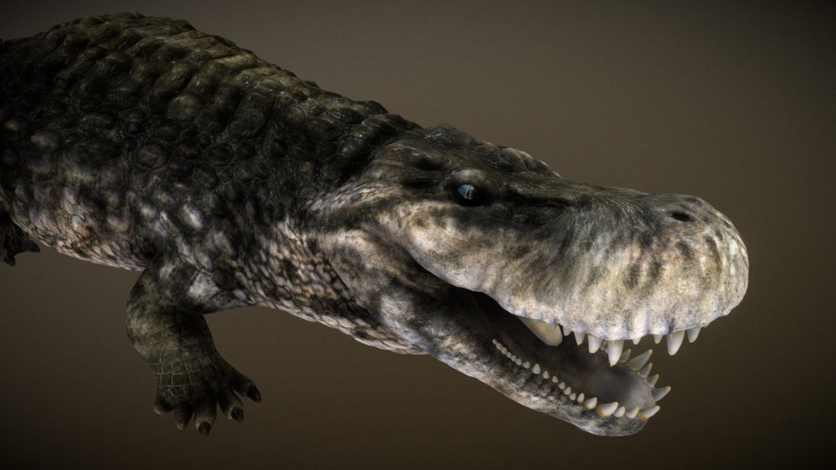 Гигантский Кайман пурусзавр