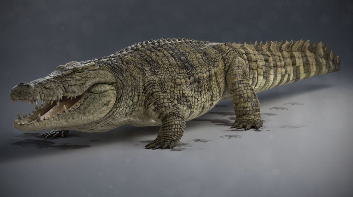 Доисторический крокодил дейнозух