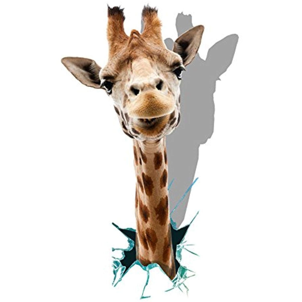 Постер животные