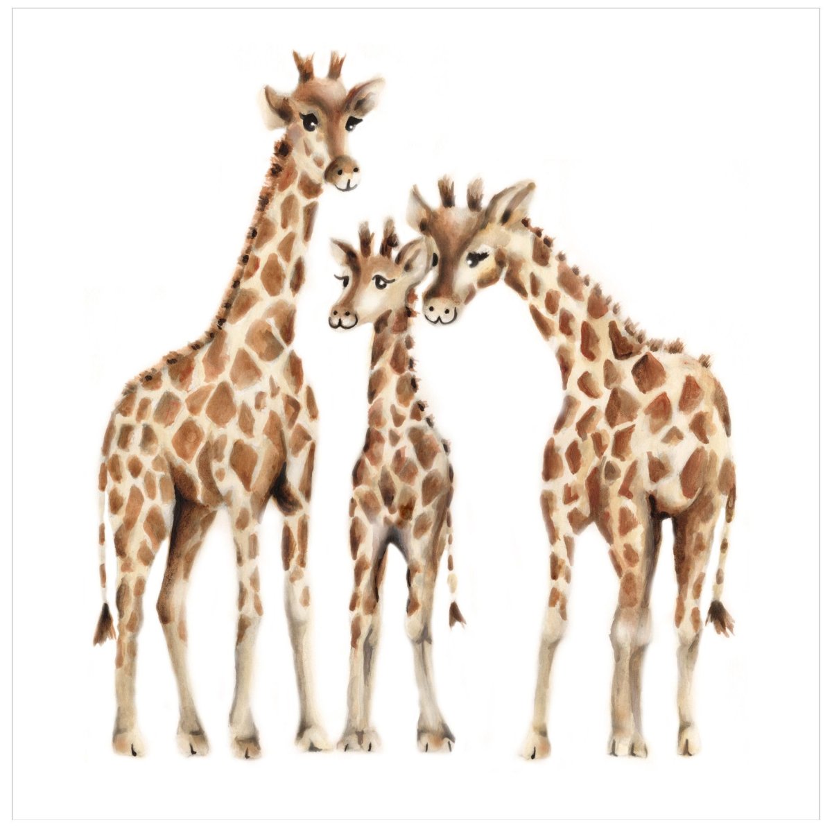 Жирафенок на белом фоне
