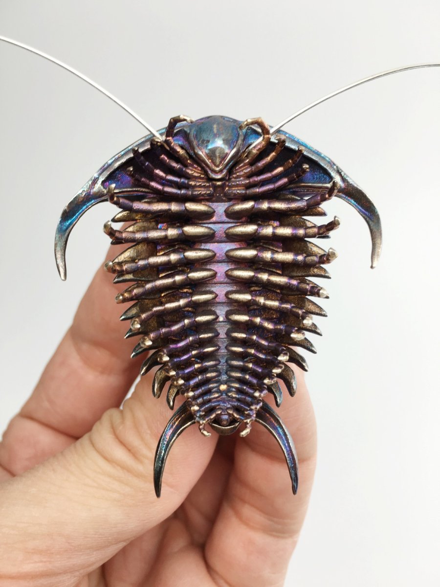 Трилобит ракоскорпион ,моллюск