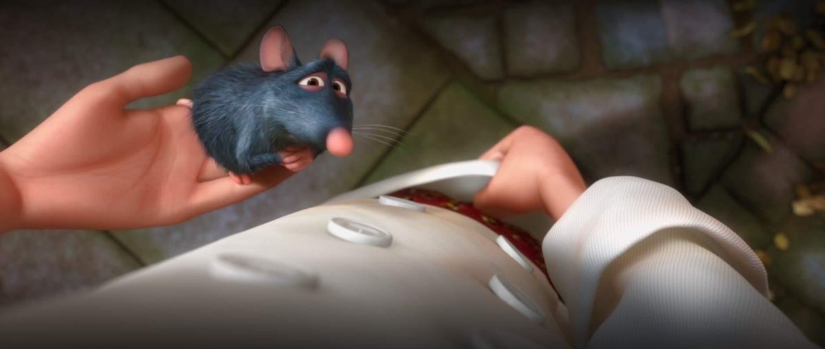 Крыса прикол