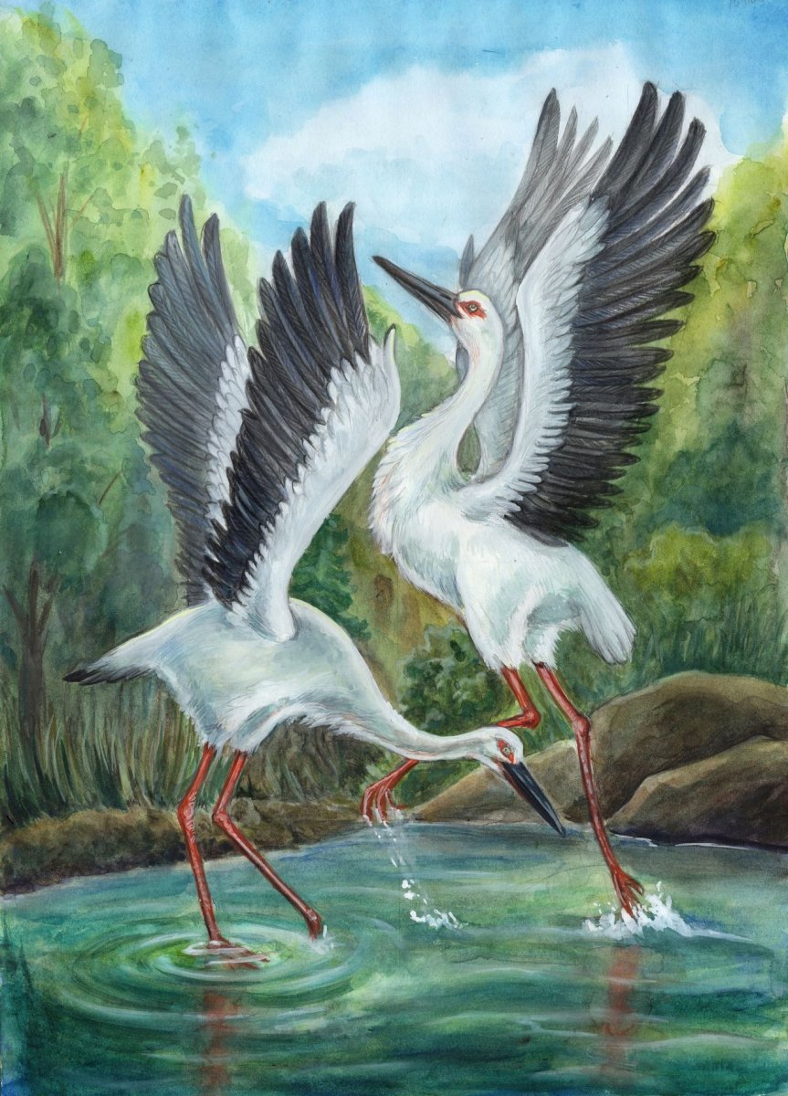 Пара журавлей