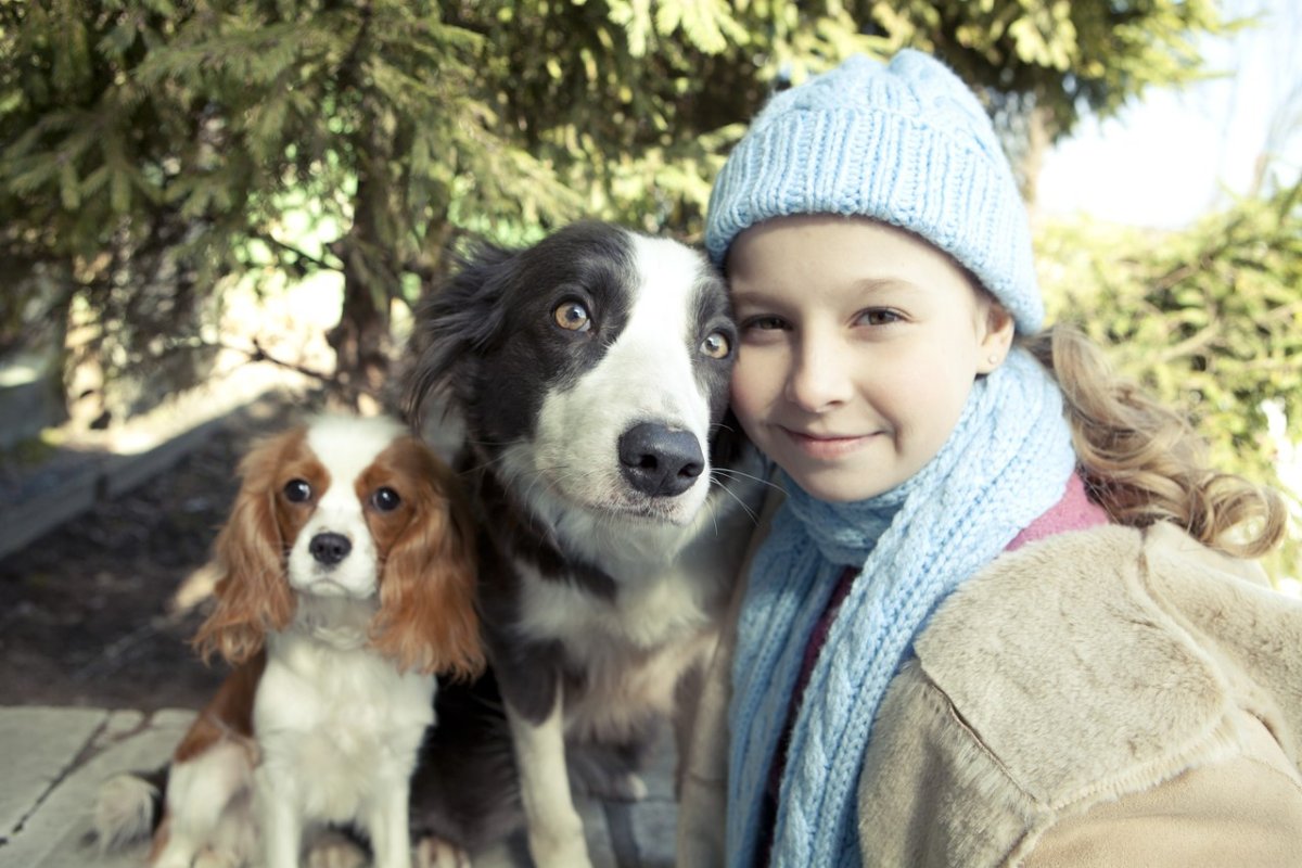 Венгерская овчарка Командор
