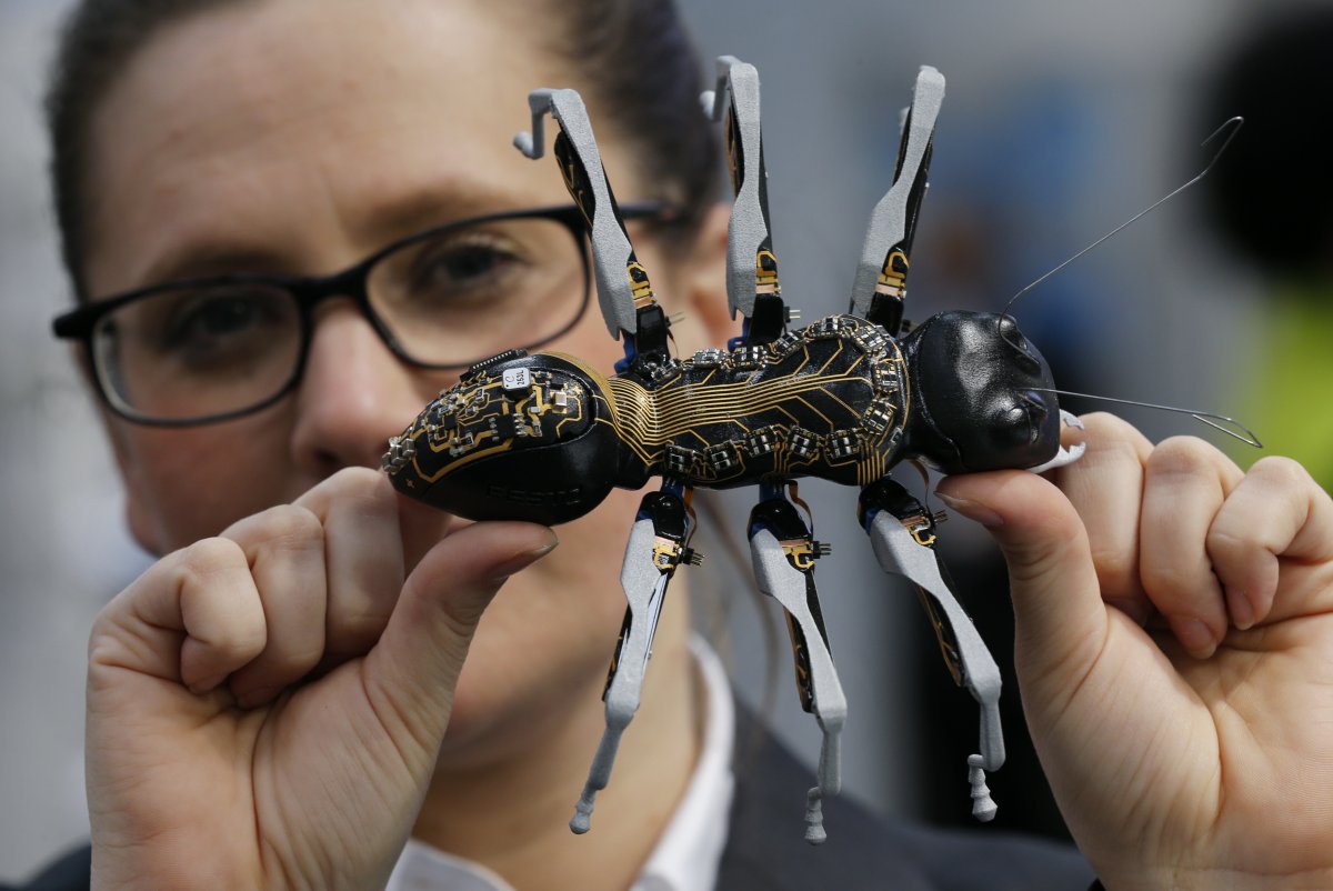 Роботы-муравьи BIONICANTS