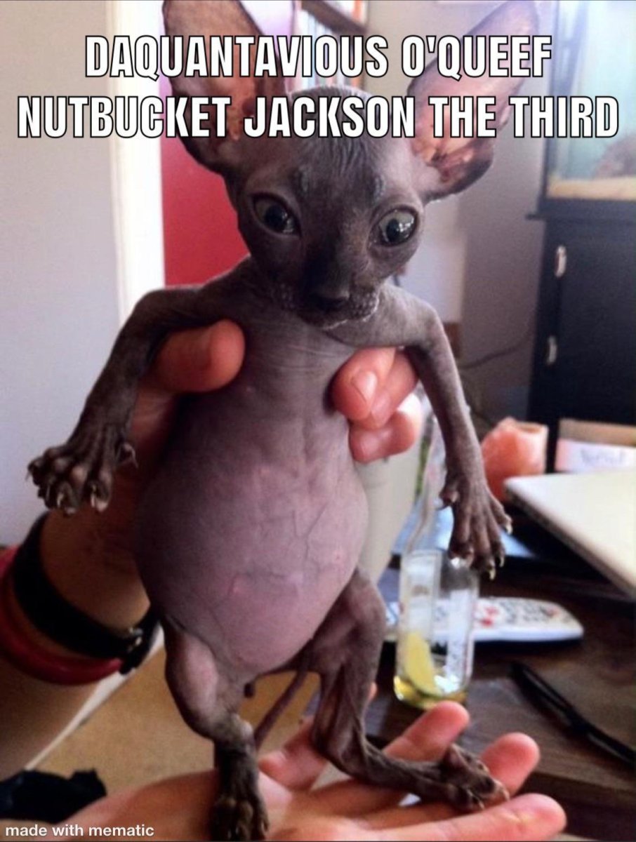 Тату сфинкс эскиз