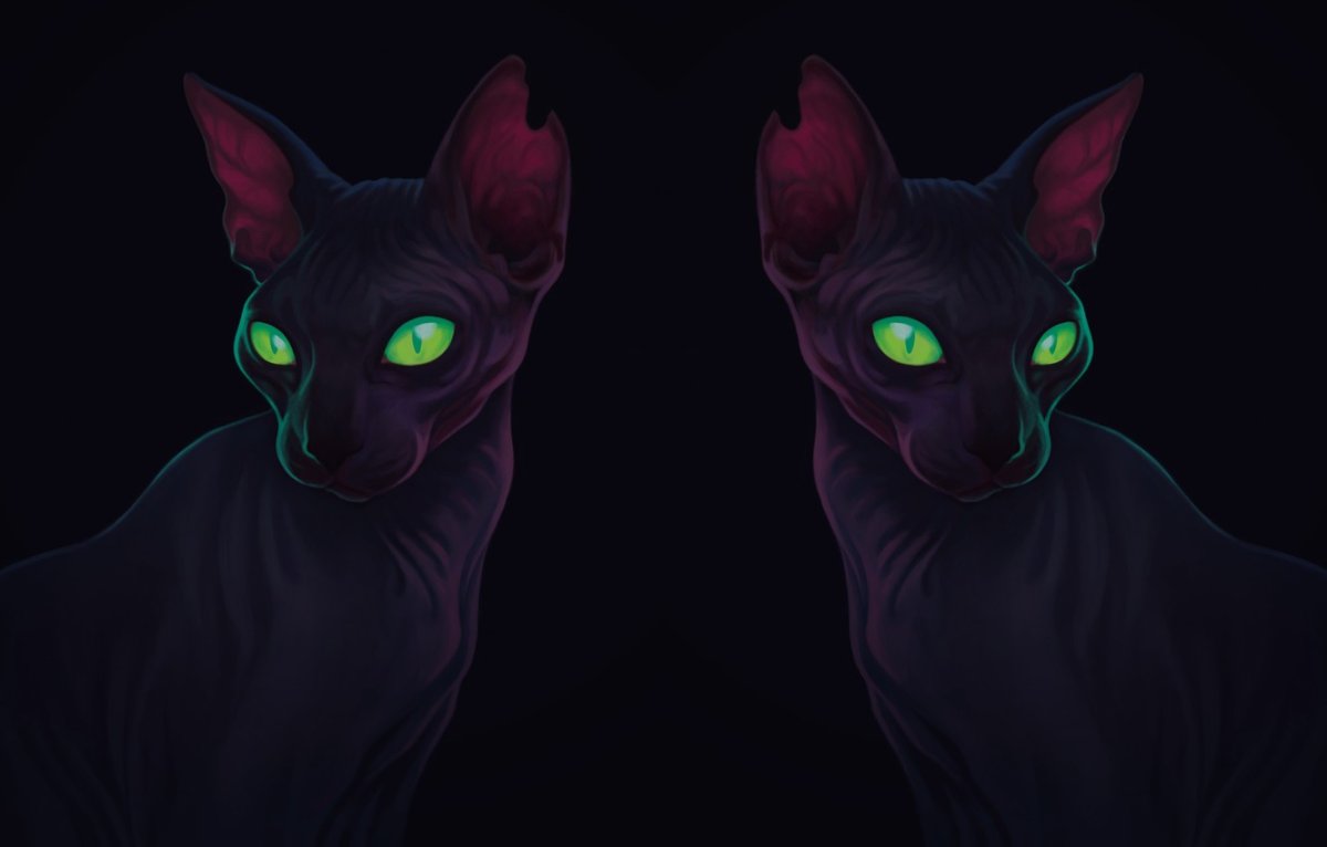 Чёрный кот с зелёными глазами арт