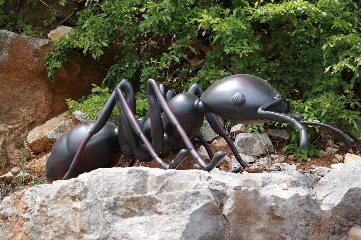 Муравьи в искусстве