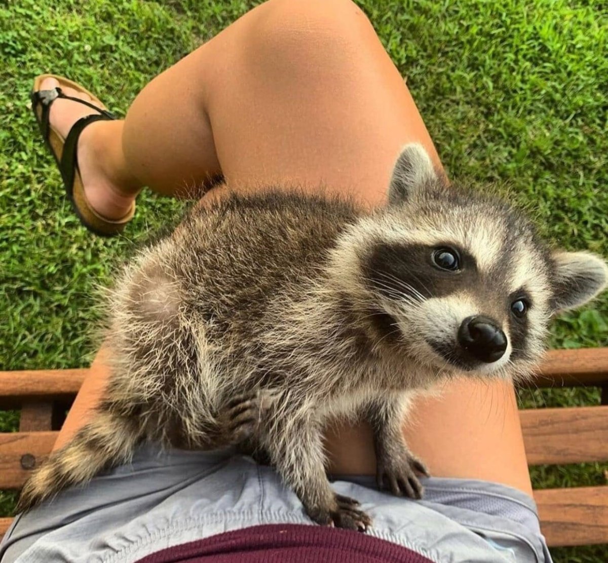 Смешные картинки