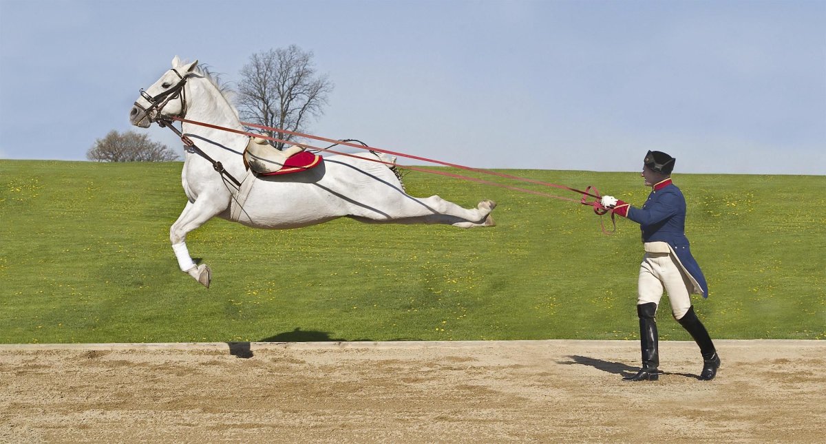 Каприоль конный элемент